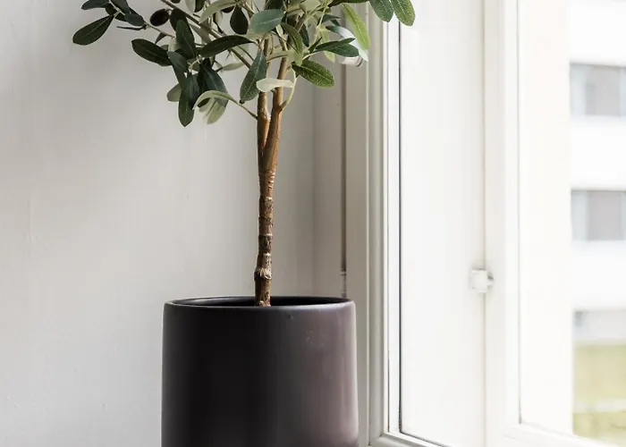 Apartment Snowlight By Booklapland *