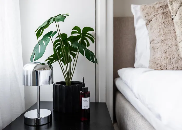 Snowlight By Booklapland *